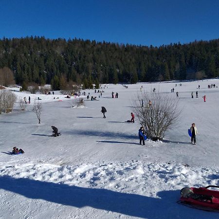 Apartament Le Manant Bellegarde-sur-Valserine Zewnętrze zdjęcie